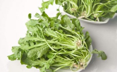 ​春季养生常吃野菜 健康的野菜菜谱推荐