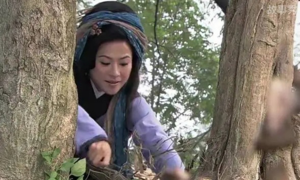 网络图片(侵删)