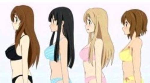 胸围abcd