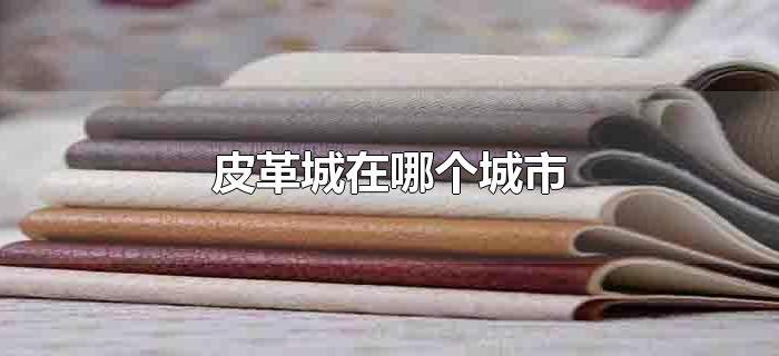 皮革城在哪个城市