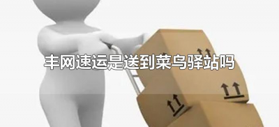 ​丰网速运是送到菜鸟驿站吗（丰网速运可以放菜鸟驿站吗）