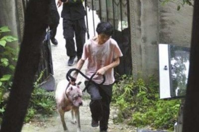 ​遵义狗咬死人事件:一只撕咬一只看守_老人被拖行数十米