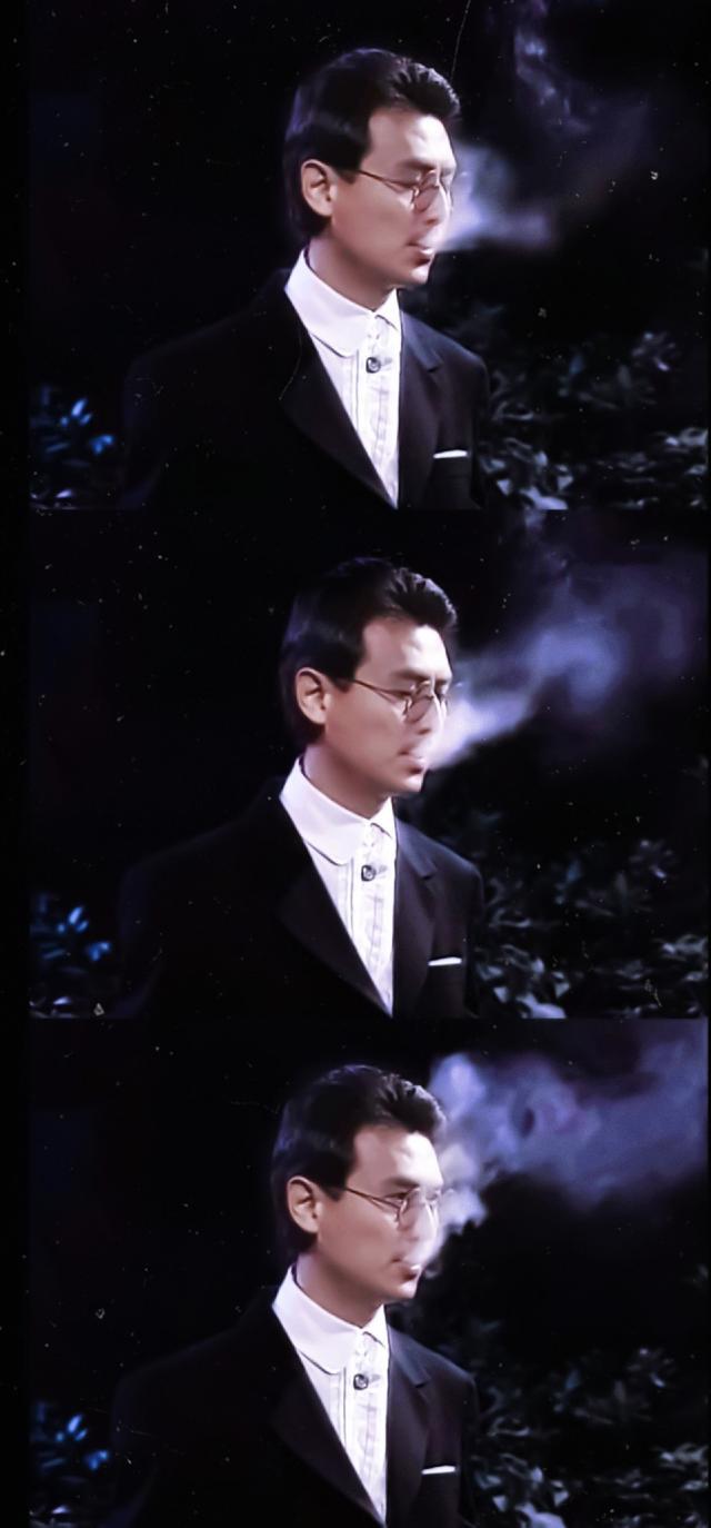 刘德凯演过哪些古装电视剧（琼瑶剧里永远的小生刘德凯）(7)