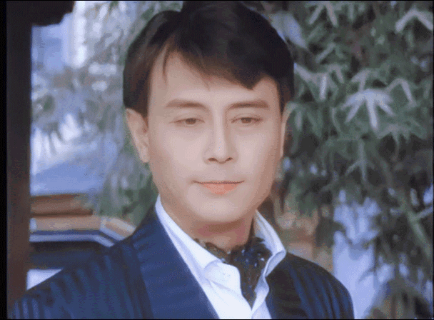 刘德凯演过哪些古装电视剧（琼瑶剧里永远的小生刘德凯）(11)