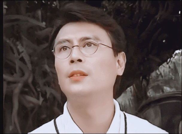 刘德凯演过哪些古装电视剧（琼瑶剧里永远的小生刘德凯）(9)