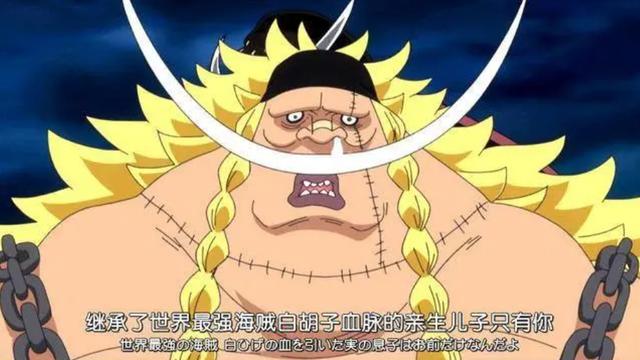海贼王七武海历代名单（海贼王中11位七武海）(5)