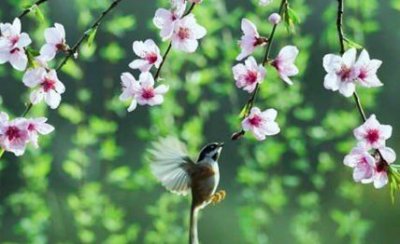 ​四月唯美句子简短,赞美喷泉的唯美句子简短