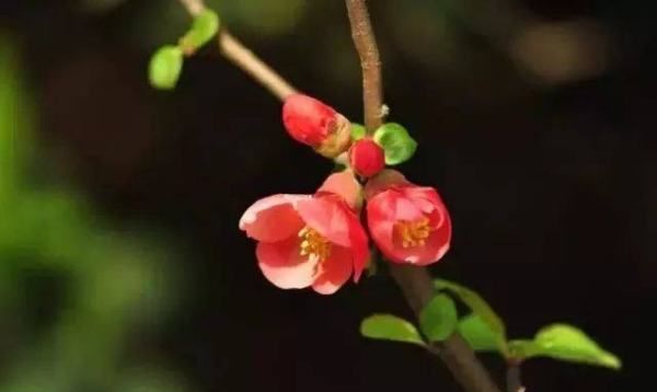 阳光句子简短图片,描写下午阳光照射的唯美句子图3