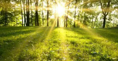 ​阳光句子简短图片,描写下午阳光照射的唯美句子