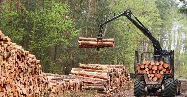 全球气候变暖的危害,全球气候变暖是什么原因导致的?如果继续下去会产生什么后果?图3