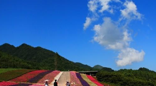 重庆土话网名,重庆方言日常用语怎么写图3