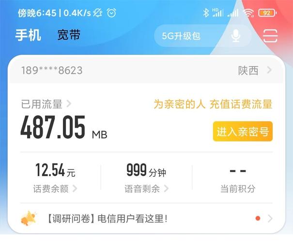 怎么查询实时话费明细(短信即可查话费详单)