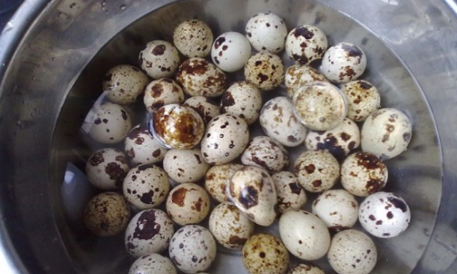 怎样煮鹌鹑蛋好吃,如何煮鹌鹑蛋图2