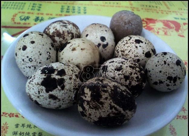 煮鹌鹑蛋的方法 鹌鹑蛋怎么煮
