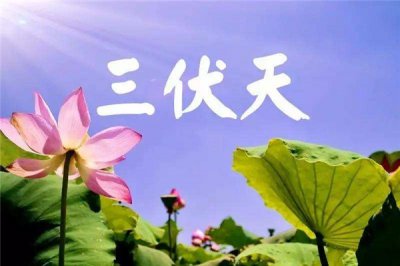 ​三伏天从什么时间启始 三伏天该怎样过才没有会中暑