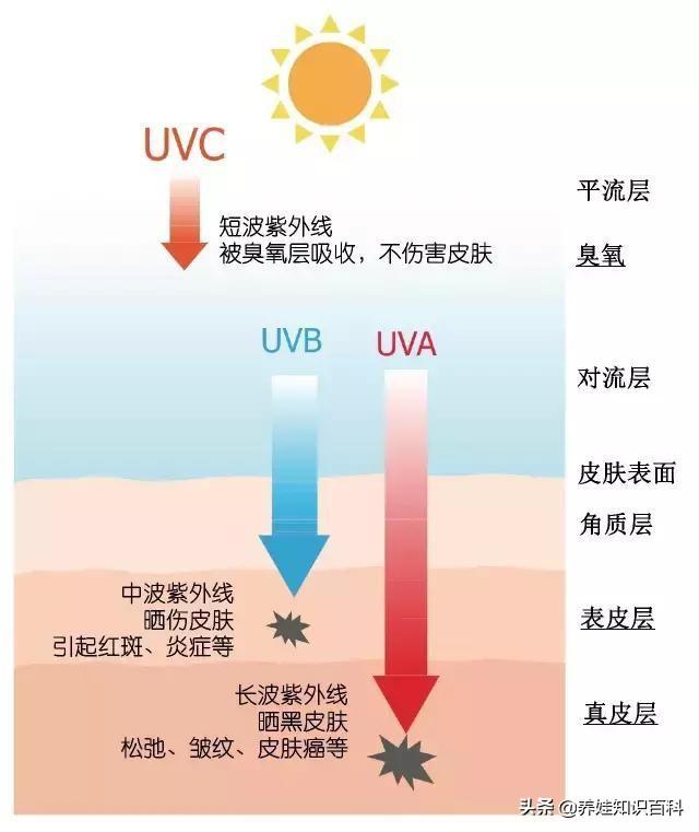 怎么挑选太阳伞好（太阳伞选购看这4个方面）(4)