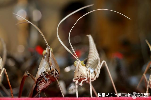 手工制作蚂蚱步骤（还记得小时候老爷爷编的蚱蜢吗）(5)