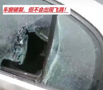 ​老虎能打碎汽车玻璃吗（东北虎一掌拍碎车窗）