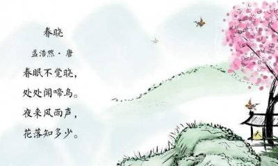 ​春晓写的是春天的早上还是晚上,春晓这首诗描写的是春天什么时候的景色