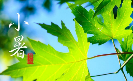 小暑是什么时候,小暑是什么季节图4