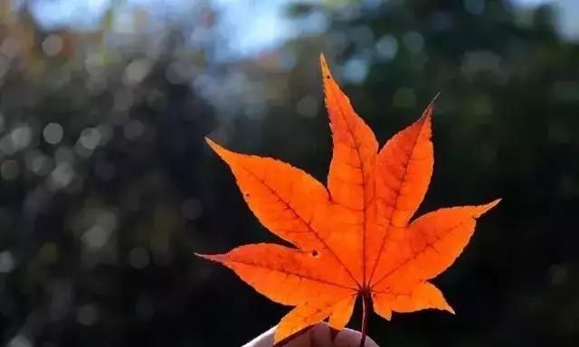 春心动矣，