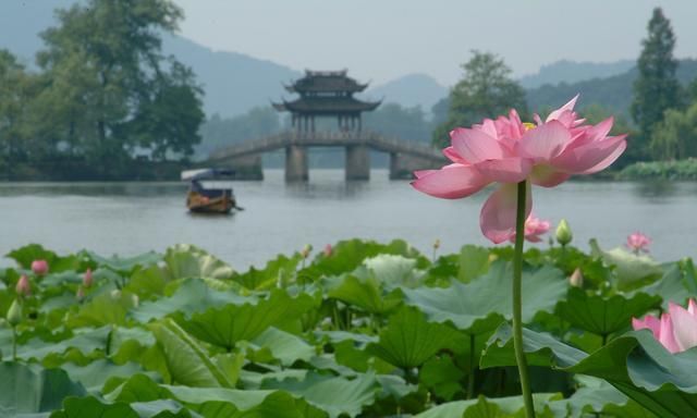 西湖十景是哪十景：西湖十景是哪些