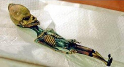 18公分小人搞尸之谜 世界上实拍果然小小人简直案例