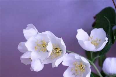 ​一个人真正想离开的时候（心一旦离开就真的再也回不来了）