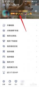 ​怎么隐藏qq等级（隐藏qq等级的方法）