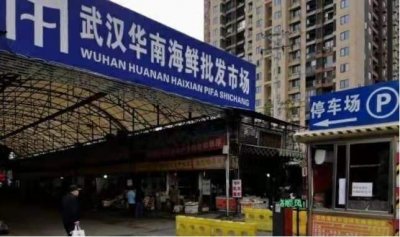 ​冠状病毒怎样来的？病毒根源于什么动物?蛇?蝙蝠?水貂?