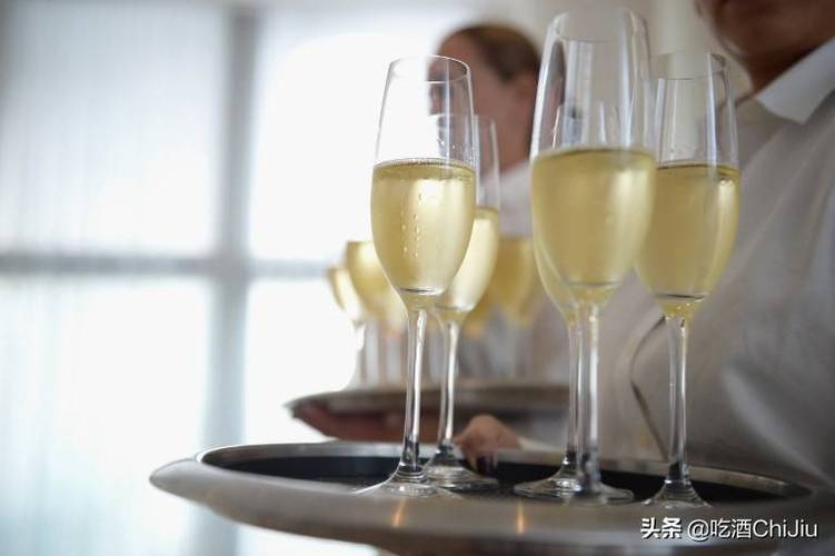 白葡萄酒的喝法技巧（白葡萄酒怎么喝法）