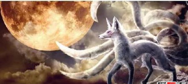 狐狸炼丹科学阐明,揭秘狐狸炼丹是果然吗