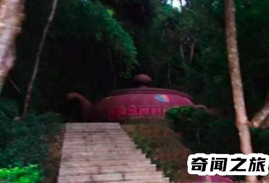 李倩月案件真相（南京女学生云南遇害）(3)_