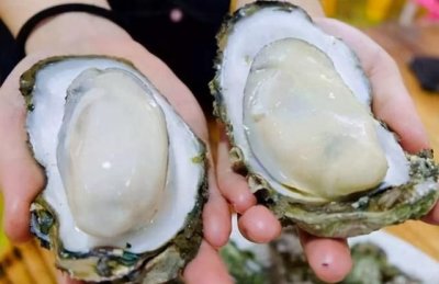 ​没开壳的生蚝能放几天，剥了壳的生蚝放冷藏能放几天？