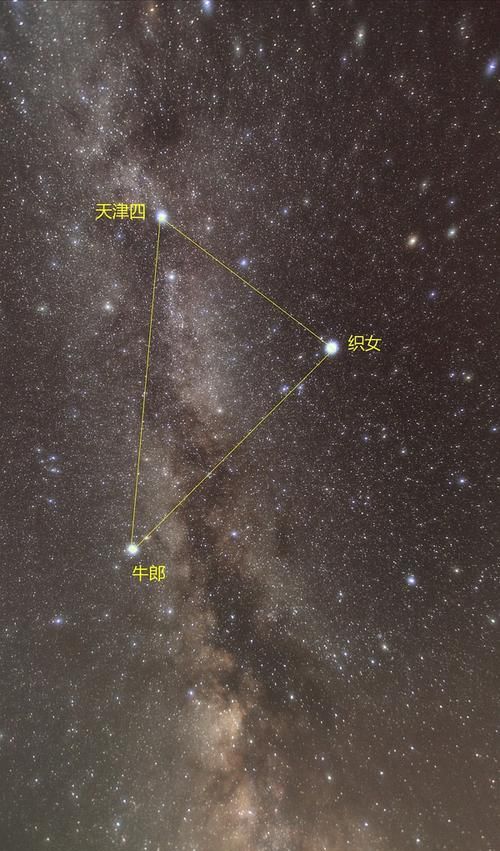 牛郎星属于什么星座