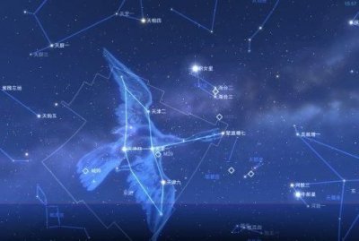 ​牛郎星是什么星座,牛郎星位于什么座织女星位于什么座