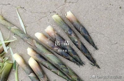 ​嫩竹笋的正确焯水方法（如何让竹笋脆爽甘甜）
