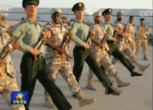 什么时候开始阅兵式（这个国家刚刚举行的盛大阅兵式）(6)