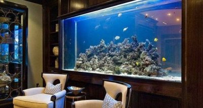 ​中国民间十大镇宅之宝 镇宅辟邪最利害的物品（仅限风水）