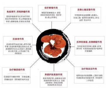​灵芝有哪些功效和作用与主治（深度解析灵芝的五大神奇功效）
