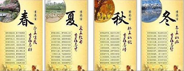 灵芝有哪些功效和作用与主治（深度解析灵芝的五大神奇功效）(2)