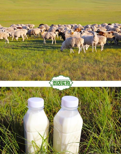 新鲜羊奶放冰箱能保存多久速冻