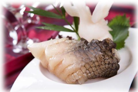 鳄鱼肉的功效与作用(鳄鱼肉的益处)