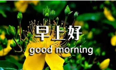早上好的问候美句,早上好的问候美句图2