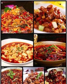 福建菜系属于什么系,中国是十二大菜系分别是哪些菜系图1