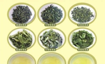 ​铁观音属于哪类茶，铁观音属于哪一种茶？