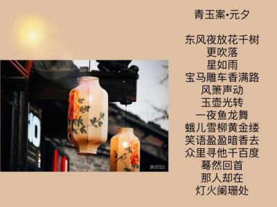 ​青玉案·元夕宋辛弃疾（青玉案元夕辛弃疾）
