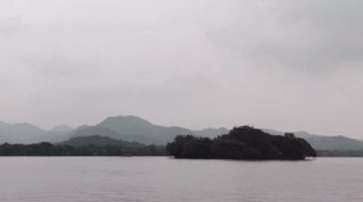 西湖龙井的冲泡方法,西湖龙井的泡法视频图2