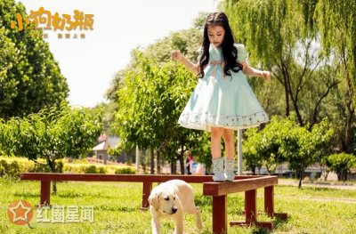 ​小狗奶瓶里的狗是什么狗电影小狗奶瓶结局是什么