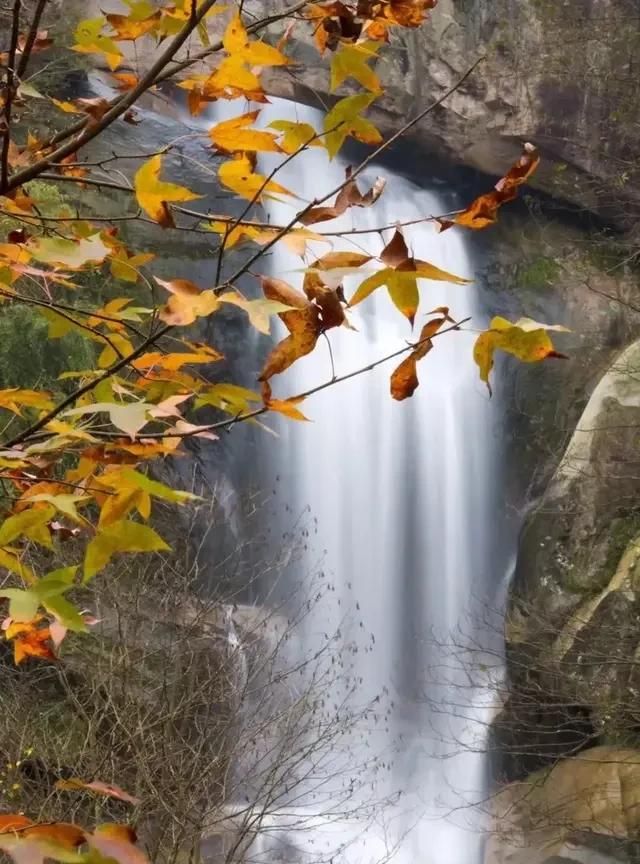 合江县美食,你的家乡是哪里?具体到县城,你觉着最好吃的美食是哪三样?图6